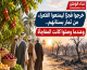 خرجوا فجرًا ليمنعوا الفقراء من ثمار بستانهم.. وعندما وصلوا كانت المفاجأة
